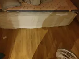 좋아유 잘자고 있어요 아직 프레임이 안ㅇ하서 잘쓼 게요