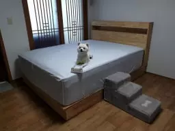 브랜드리스 대전점(오프)에서 직접 경험해본뒤 구매 결정