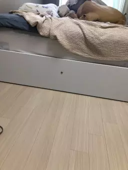 좋아요! 설치도 빠르게 잘해주셨어요


(2020-07