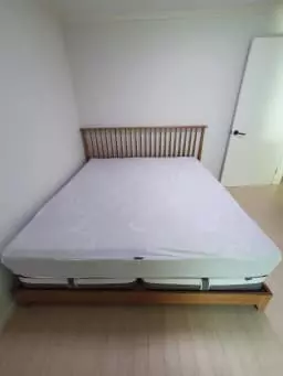 잠실점에서 켈리브라운프레임과 z8b적당푹신 라지킹을 구