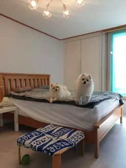 매장에 직접가서 체험해보고 구매한거라 사용감은 아주좋습