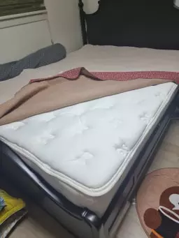 기존에 쓰던 매트리스가 너무 푹신해서 허리와 목등의 통