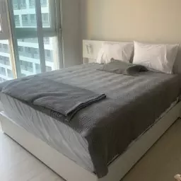 분당에서 Z10 에덴블루 미디엄 기본형 킹사이즈 구매하