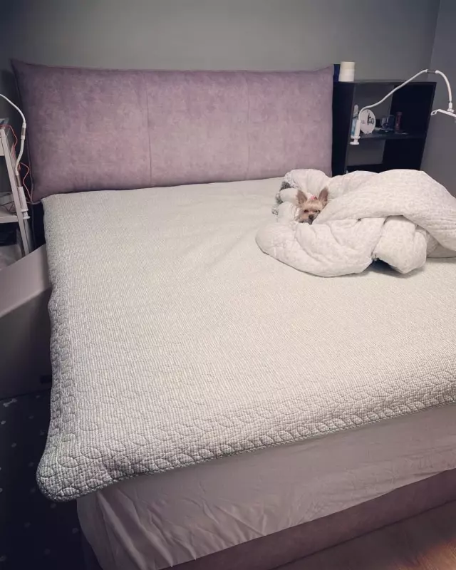 (사진 각이 안 나와서 실물과 많이 다릅니다 😭 사진보
