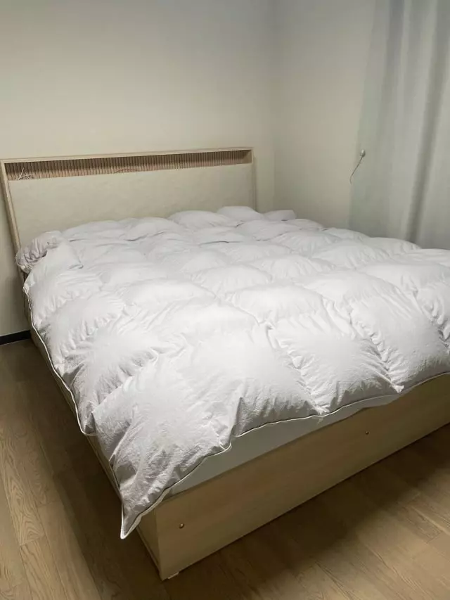 대구 달서점 구매 후기~

실리 침대랑 고민하다가 모피