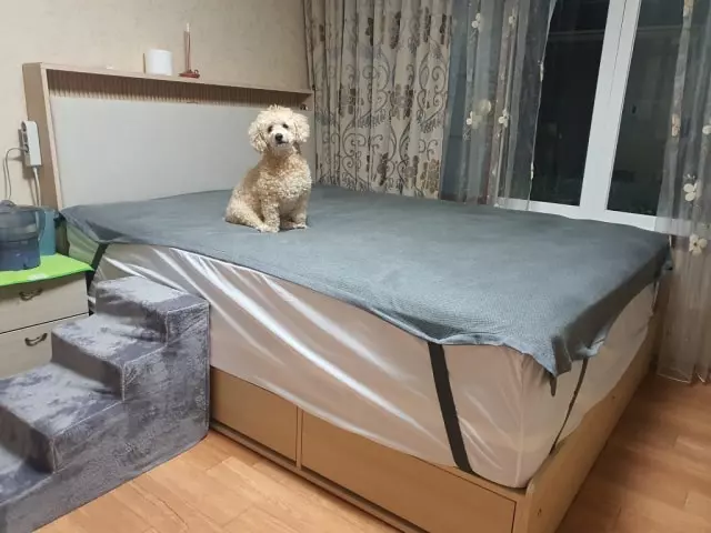결혼을 하고 난 뒤, 20년 만에 침대 구입을 결정하게