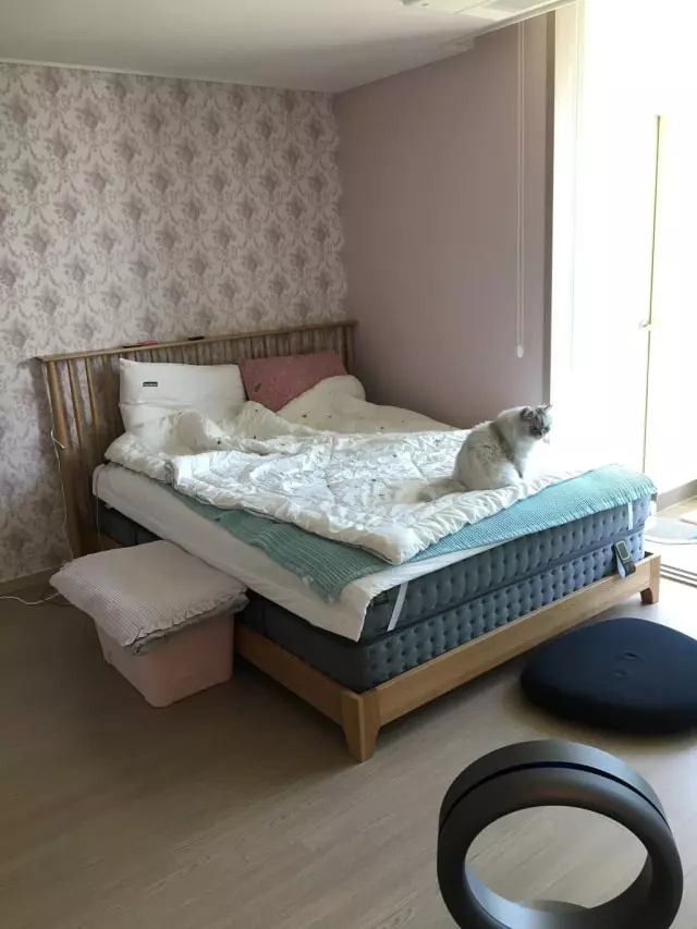 3년전에 신혼침대로 구입해서 엄청 잘썼어요

주위에 소
