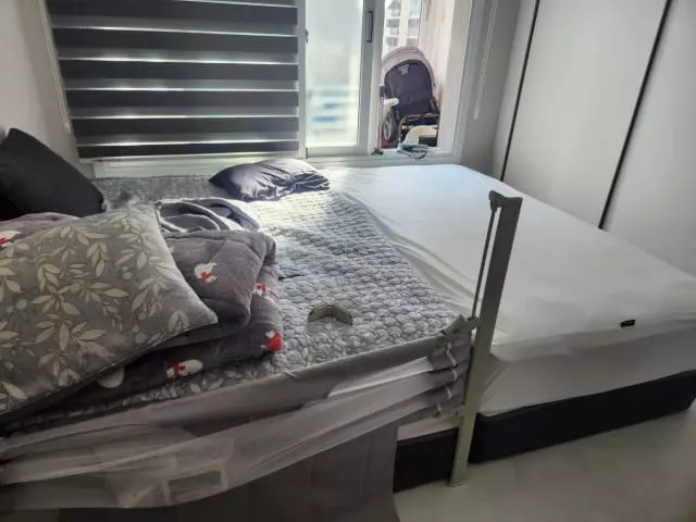 아이가 있어 패밀리침대로 봐꿀려고 하다가 베스트슬립 더