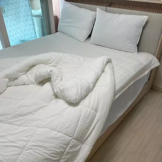 드디어!!!! 브랜드리스 녹턴 19를 받았어요. 타 브