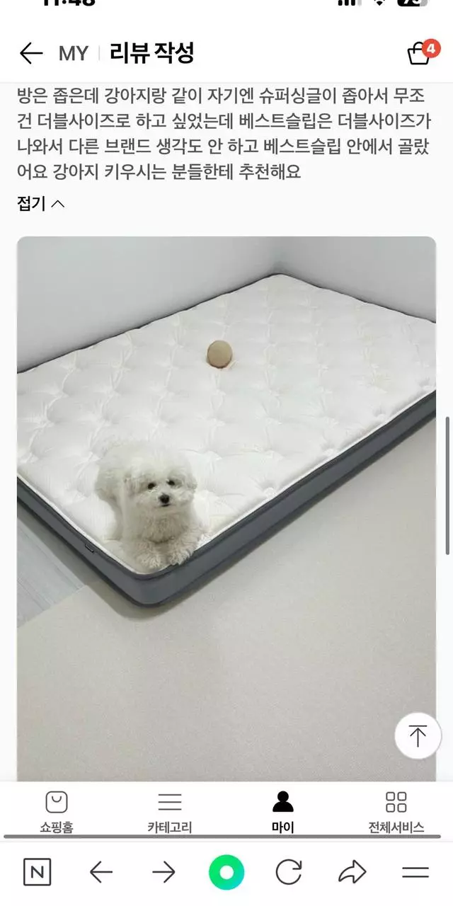 저희집 강아지가 너무 좋아해요

강아지 허리디스크 때문