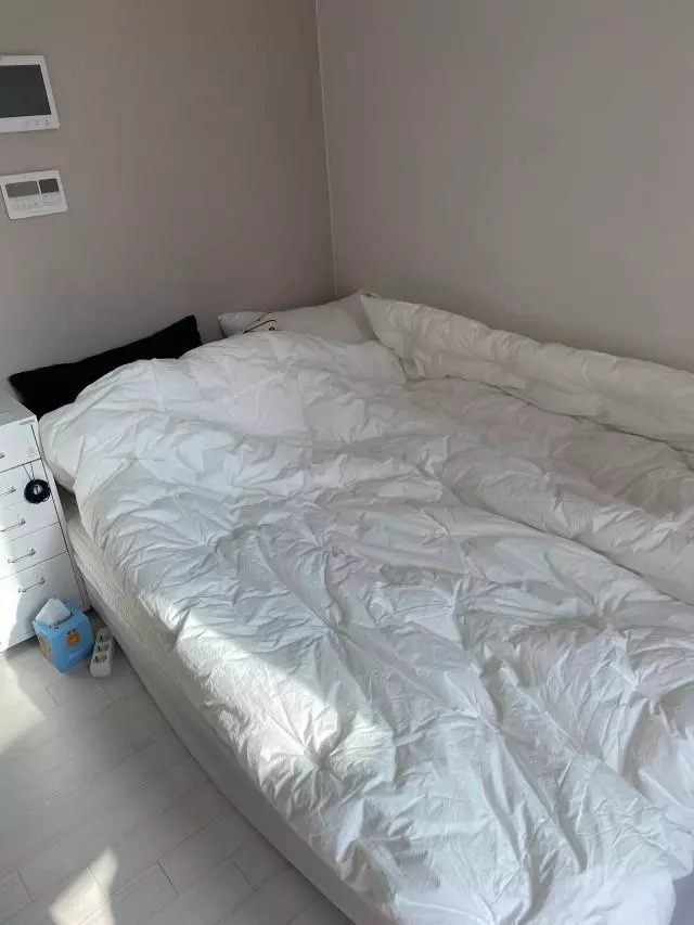 원래 집에서는 퀵슬립 Q3 쓰다가 조금 더 단단하고 큰