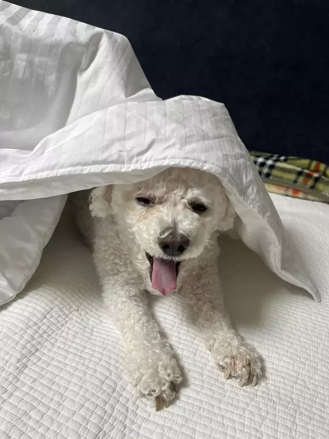 광주 상무점 베스트슬립 지인소개 받고 체험받으러 갔는데