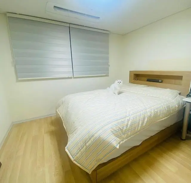 베스트슬립 침대 구매 후기입니다~! 

얼마 전에 친구
