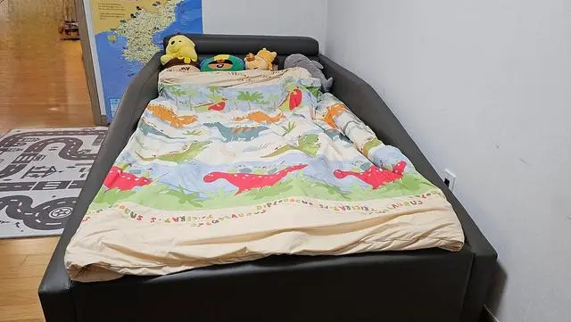 쇼룸에 가서 구경하던 중 아이가 드웨인프레임에 누워 자