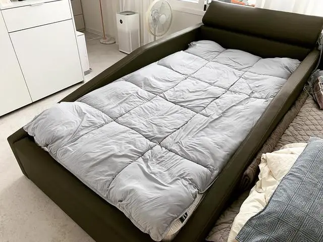 ss침대구입했어요👏

기존 퀸 침대에서 아기랑 같이 자