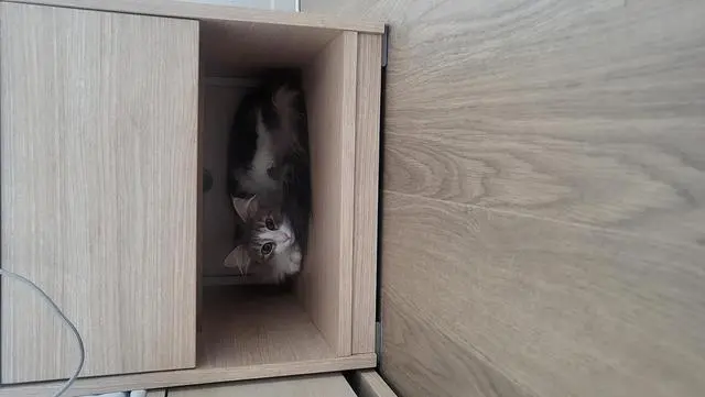 8월 중순쯤에 분당점 쇼룸에서 체험해보고 그날 바로 결