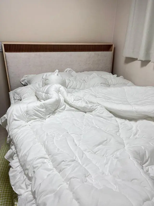 쇼룸 두 번 방문해서 체험해보고 모피어스21 적당탄탄 