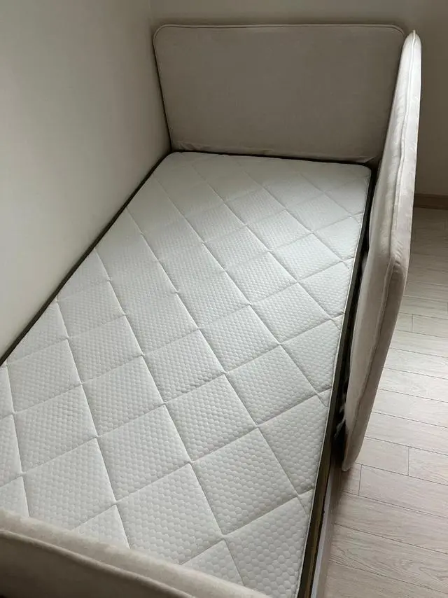 저는 새로나온 제롬 베이지 프레임이랑 엘라비아 S5 조
