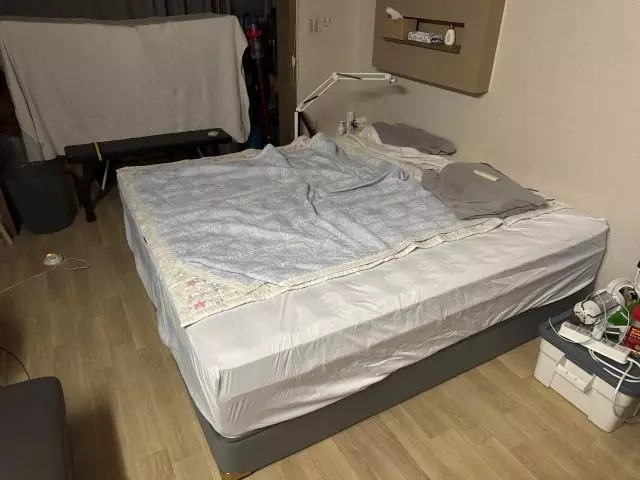 크고 튼튼하고 편안하고 친절합니다





(2024-