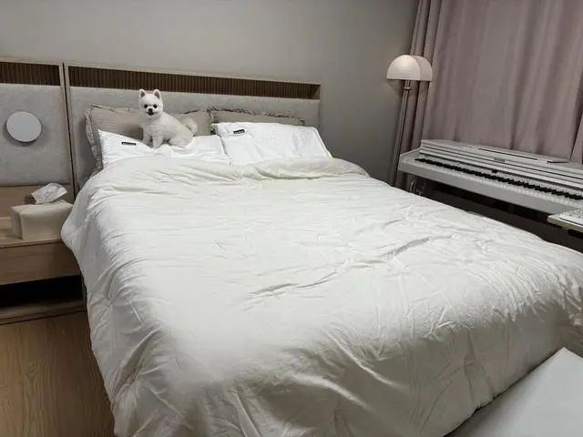 캐롤린 침대+협탁 베스트슬립 z블랙 소프트 구입후기입니