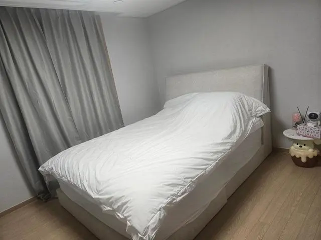 이켈로스 저상형 으로 k규격 구매했습니다 

프레임도 