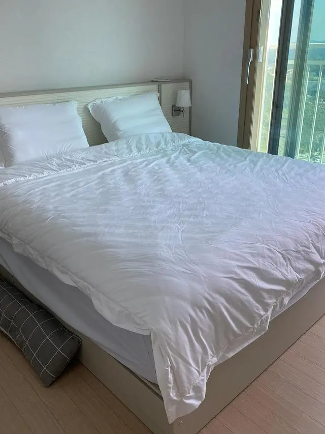 안녕하세용:) 

베스트슬립에서 z7 사용하고 솔직한 