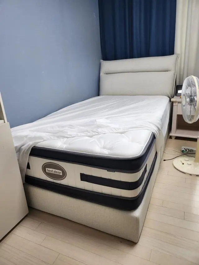 유명 침대회사 제품들을 다 알아보다가

유튜브에서 베스