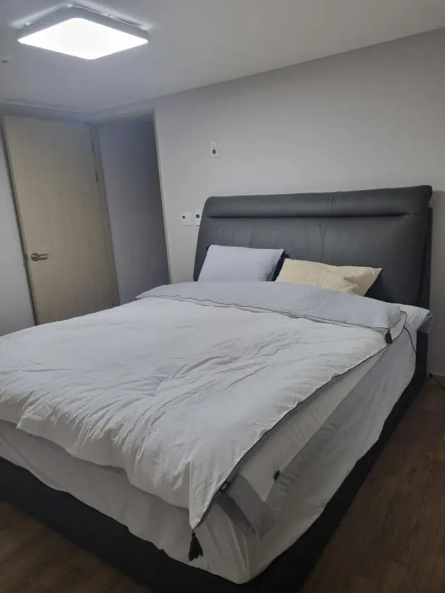 강남 쇼룸에서 충분히 체험해보고 베스트슬립 Z11 라지