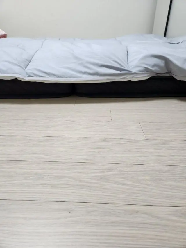 푹신하고 좋아요...





(2025-01-06 1
