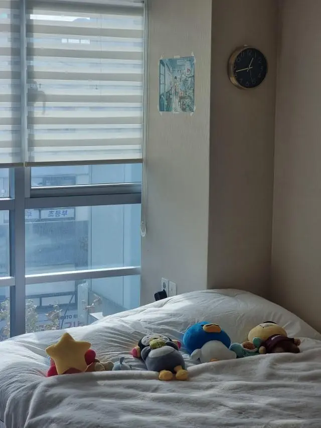 매트리스 편하고 잘 자요 이제!





(2025-0
