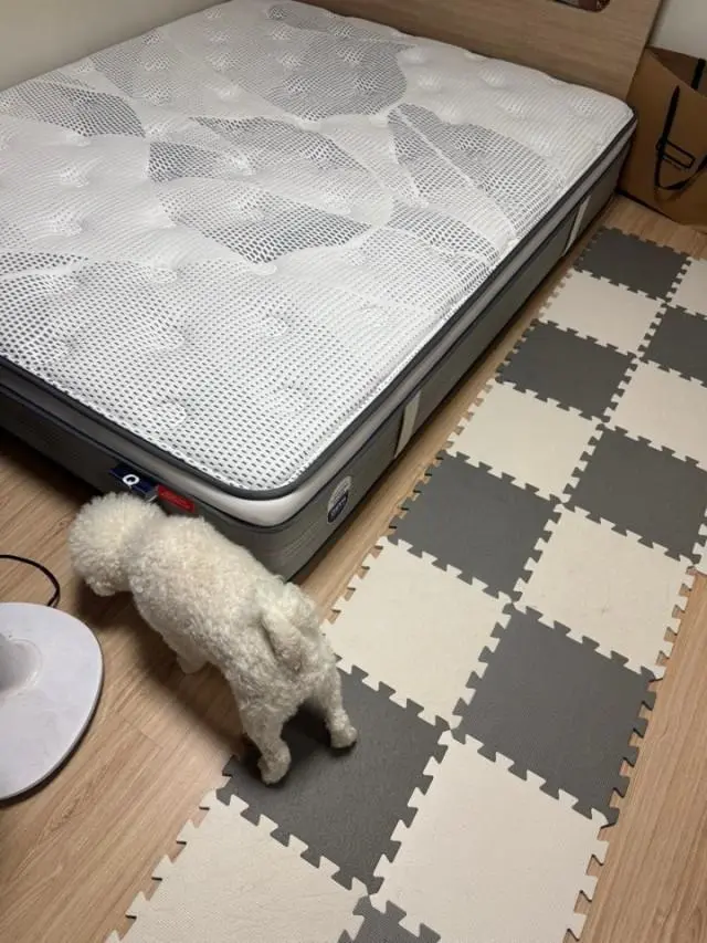 체험할수 있는 매장도 있고 직원분들도 친절하시고 문제가