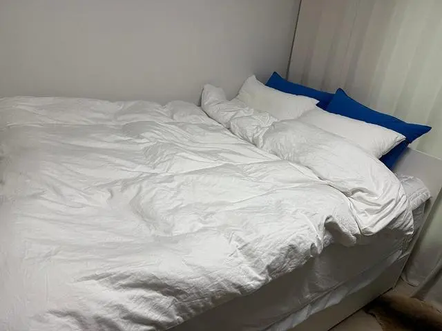 대구 달서점에서 구매했어요.
중학교 올라가는 아이가 사