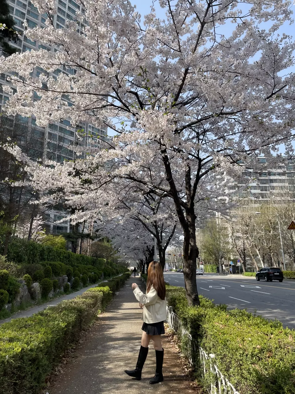 저한테는 살짝 큰 편이긴 하지만 색도 봄에 잘 어울리고 예뻐요! 아무때나 입기 좋아요